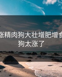 狗狗猛涨精肉狗大壮增肥增食欲，狗狗太涨了