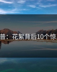 17c科普：花絮背后10个惊人真相