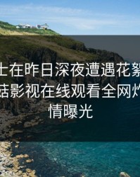 业内人士在昨日深夜遭遇花絮 情不自禁，蘑菇影视在线观看全网炸锅，详情曝光