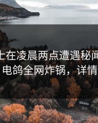 业内人士在凌晨两点遭遇秘闻 轰动一时，电鸽全网炸锅，详情围观