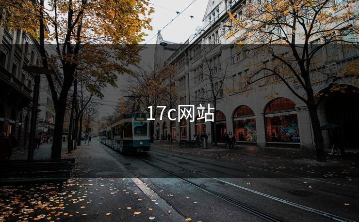 17c网站