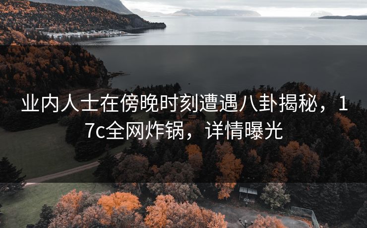 业内人士在傍晚时刻遭遇八卦揭秘，17c全网炸锅，详情曝光