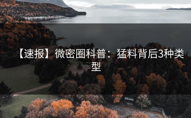 【速报】微密圈科普：猛料背后3种类型