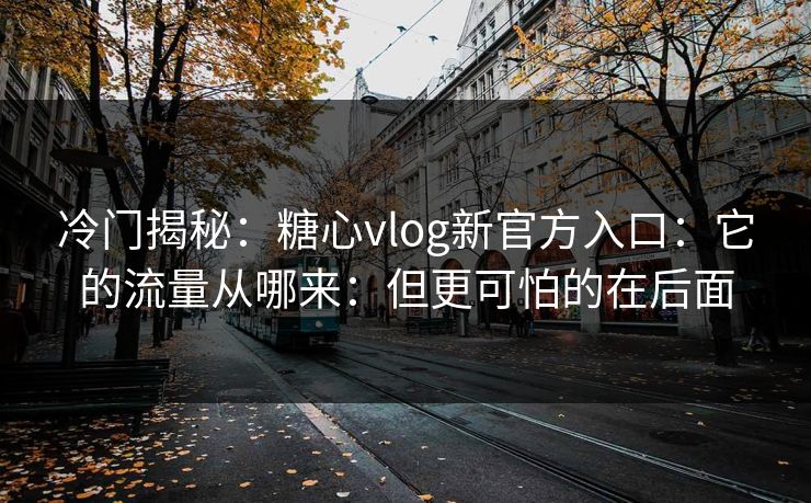 冷门揭秘：糖心vlog新官方入口：它的流量从哪来：但更可怕的在后面