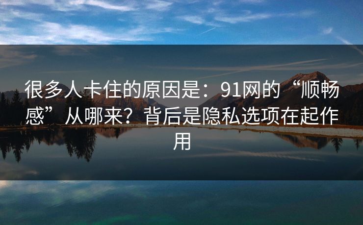 很多人卡住的原因是：91网的“顺畅感”从哪来？背后是隐私选项在起作用